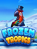 รีวิว joker gaming ถอนเงิน ตื่นเต้นทุกการเล่น!